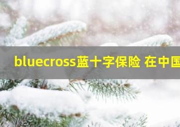 bluecross蓝十字保险 在中国